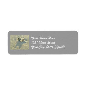 Wave-washed Shell Adress Label by CarolsCamera at Zazzle
