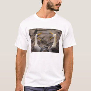 Waved albatross Phoebastria irrorata) pair T-Shirt