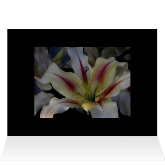 Waves (Inside Horizontal (Top))