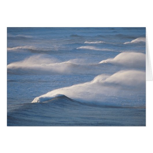 Waves Cards (Front Horizontal)