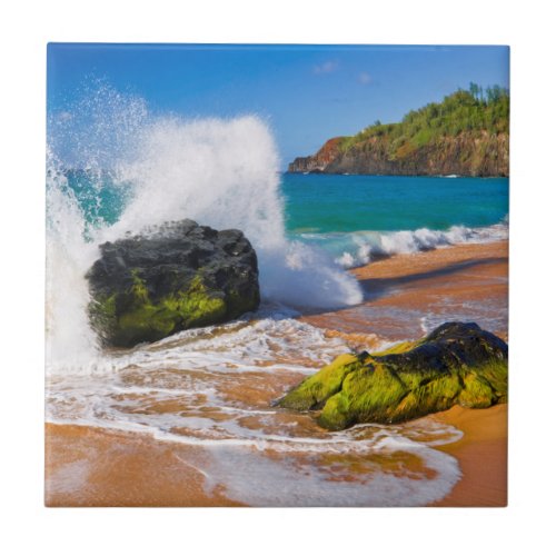 Waves crash on the beach Hawaii Tile