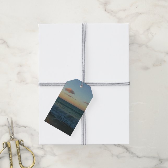 Waves Crashing at Sunset Beach Landscape Gift Tags (With Twine)