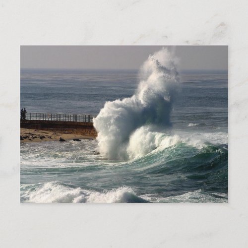 Waves Crashing Seals La Jolla Postcard