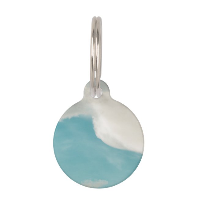 waves in all ways pet ID tag (Front)