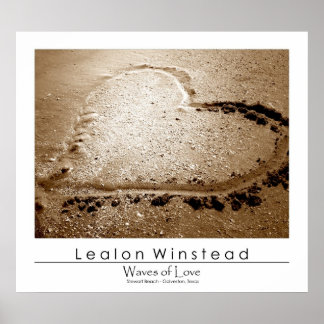 Waves of Love Poster