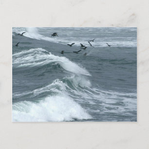Waves Seen From The Sunset Cliffs In San Diego Postcard