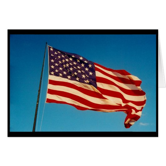 waving flag usa (Front Horizontal)