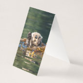 Waving Sea Otter (Front)