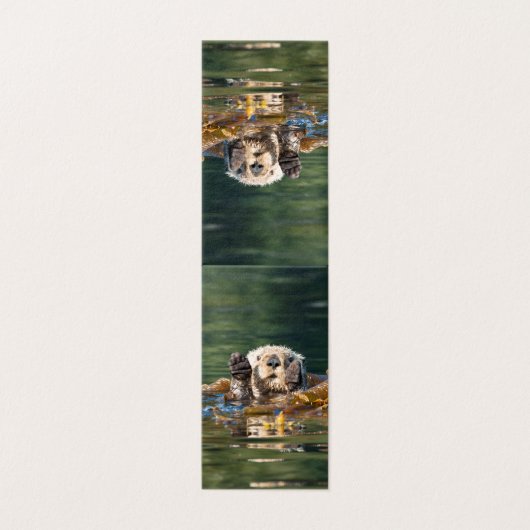 Waving Sea Otter (Outside Unfolded)