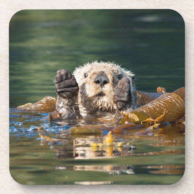 Waving Sea Otter Beverage Coaster (Front)