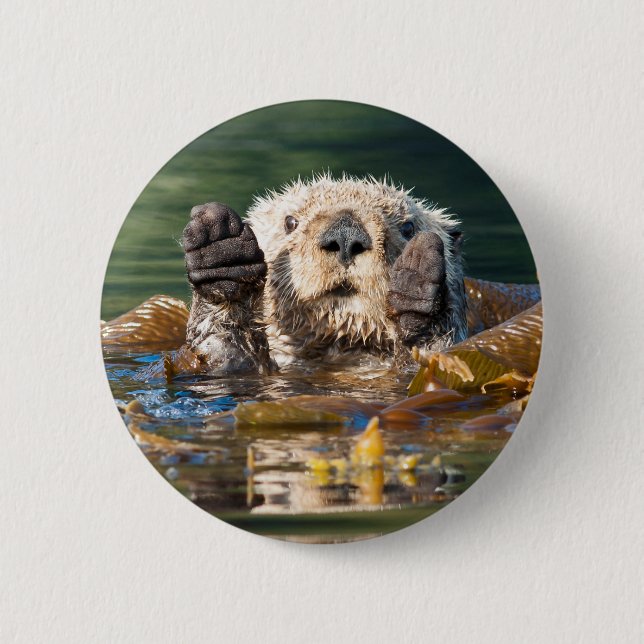Waving Sea Otter Button (Front)