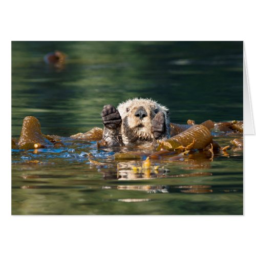 Waving Sea Otter Card