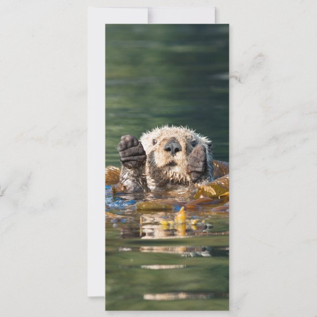 Waving Sea Otter Card (Front)