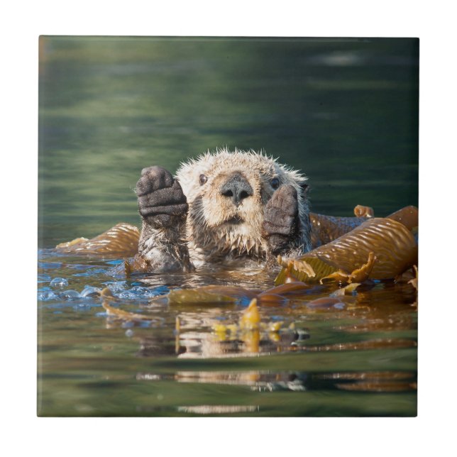 Waving Sea Otter Ceramic Tile (Front)