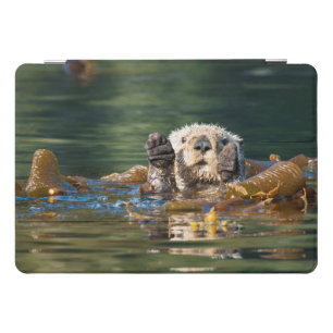 Waving Sea Otter iPad Pro Cover
