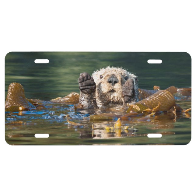 Waving Sea Otter License Plate (Front)