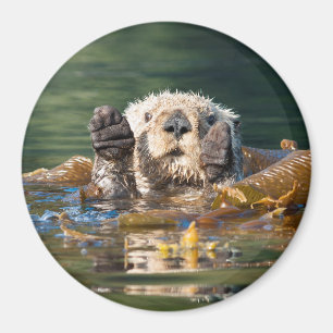 Waving Sea Otter Magnet