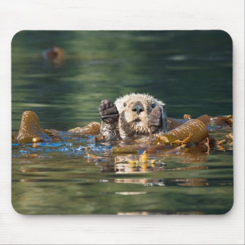 Waving Sea Otter Mouse Pad