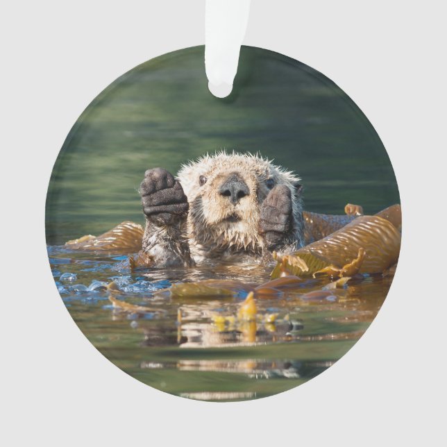 Waving Sea Otter Ornament (Front)
