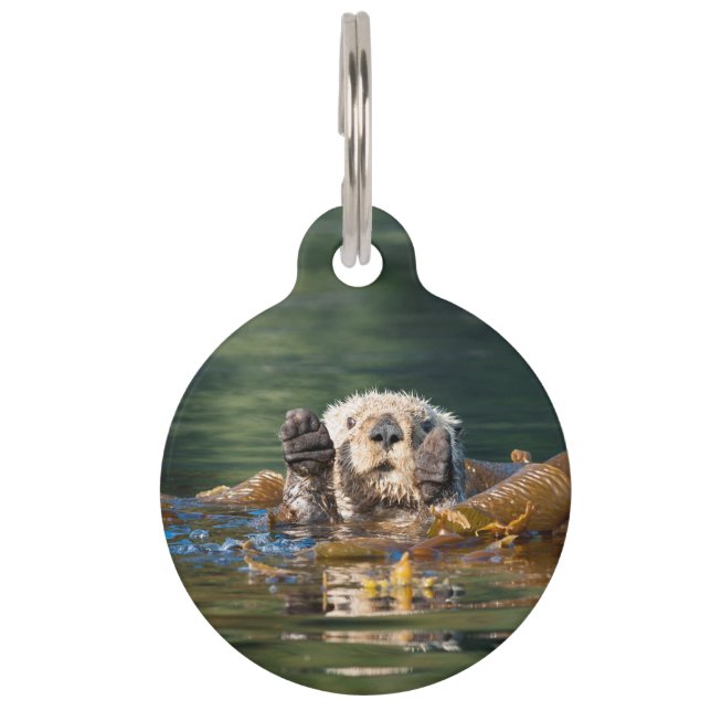 Waving Sea Otter Pet ID Tag (Front)