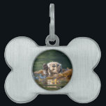 Waving Sea Otter Pet ID Tag<br><div class="desc">Decorated with an image of a cute sea otter (Enhydra lutris) waving his paws in Alaska. By Ted Raynor</div>