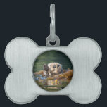 Waving Sea Otter Pet ID Tag<br><div class="desc">Decorated with an image of a cute sea otter (Enhydra lutris) waving his paws in Alaska. By Ted Raynor</div>