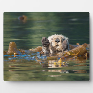 Waving Sea Otter Plaque