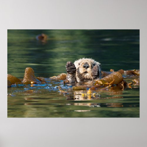 Waving Sea Otter Poster