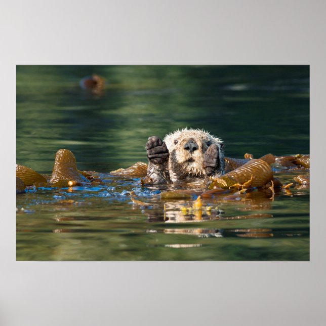 Waving Sea Otter Poster (Front)