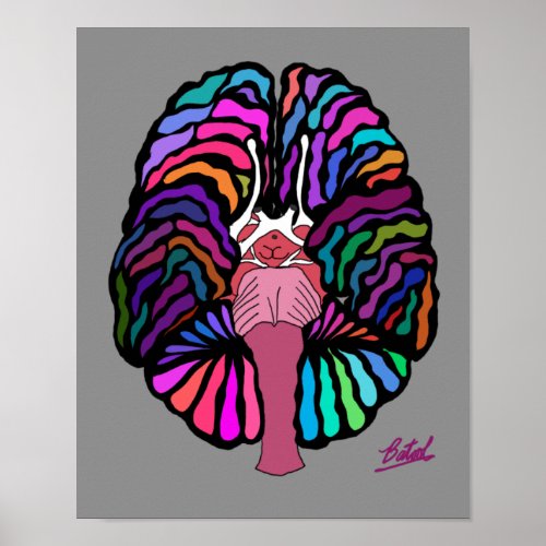 Wavy line colored brain poster