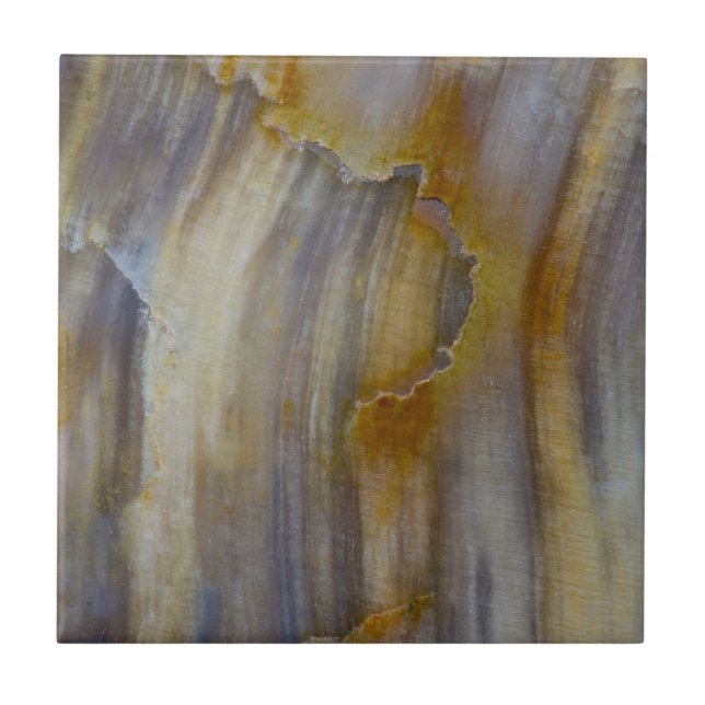 Wavy Petrified Wood Ceramic Tile (Front)