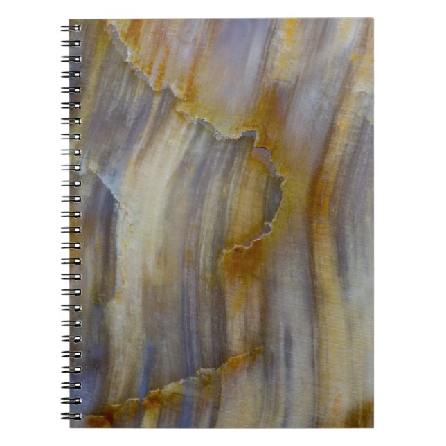 Wavy Petrified Wood Notebook (Front)
