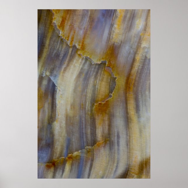 Wavy Petrified Wood Poster (Front)