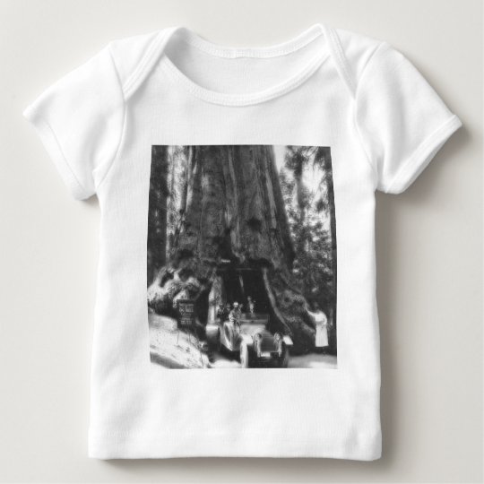 Wawona Tree Magic Lantern Vintage California Baby T-Shirt