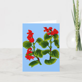 wax begonia wax begonias print card