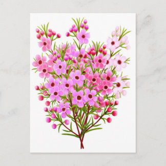 Wax Flower Bouquet Postcard
