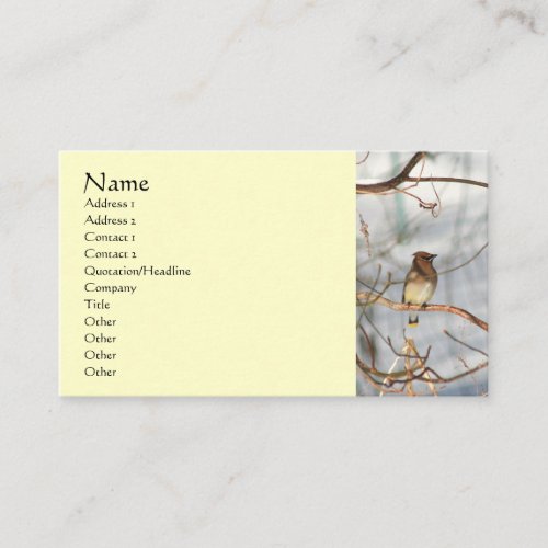 Waxwing Bird In Winter Animal Business Card