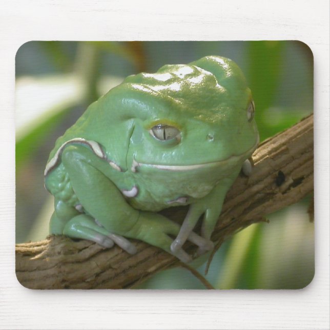 Waxy Tree Frog Mouse Pad (Front)