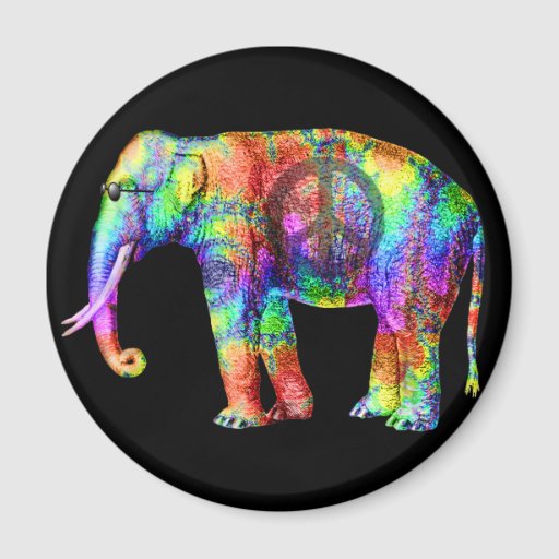 Way Cool Magnet | Zazzle