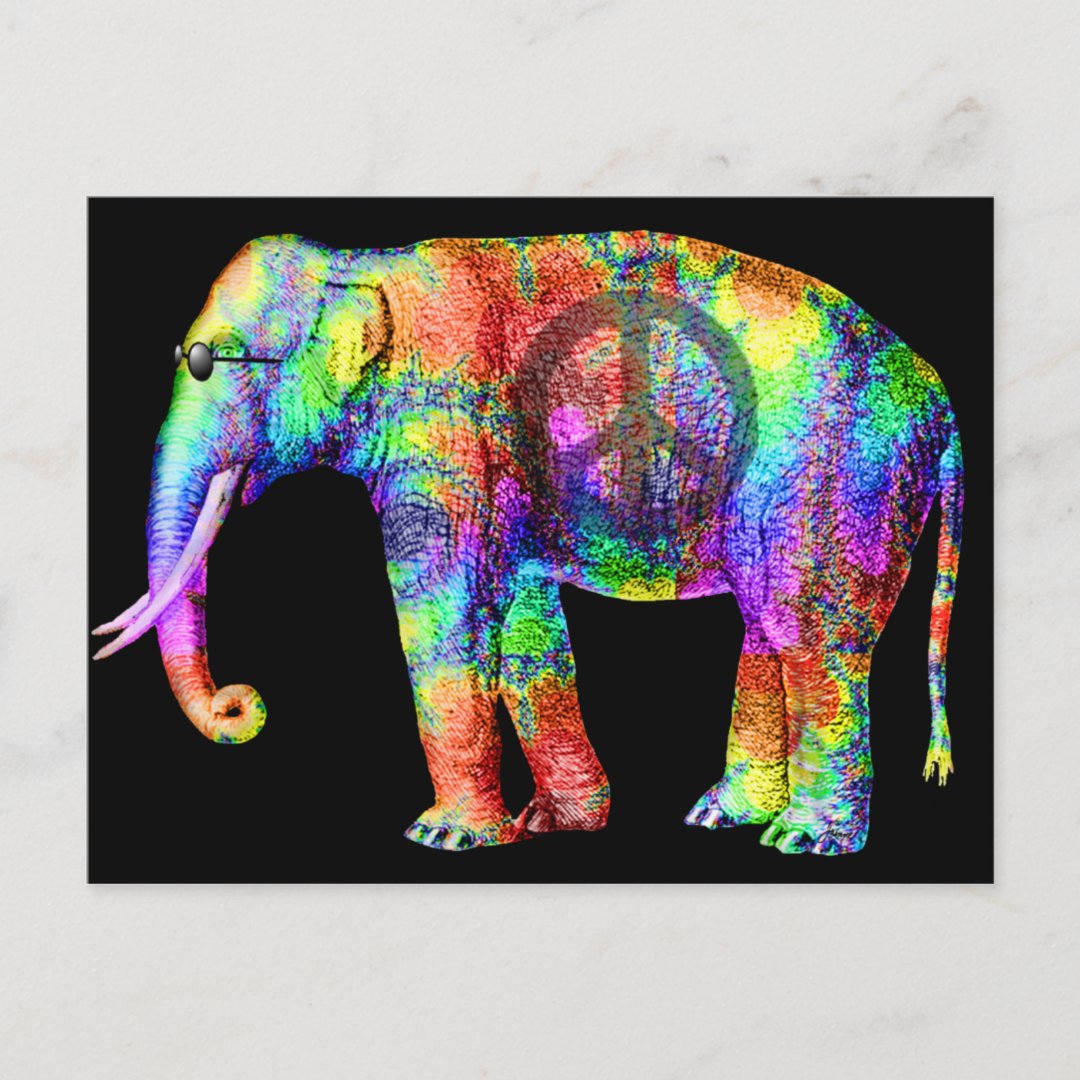 Way Cool Postcard Zazzle