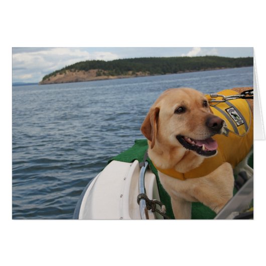 Waylon At Work Conservation Canines Labrador Cards (Front Horizontal)