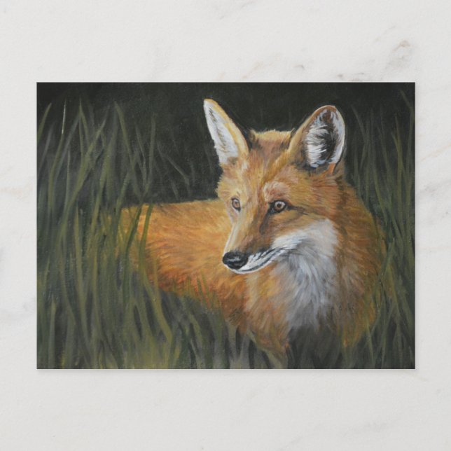 Wayward Red Fox Animal Art Postcard (Front)