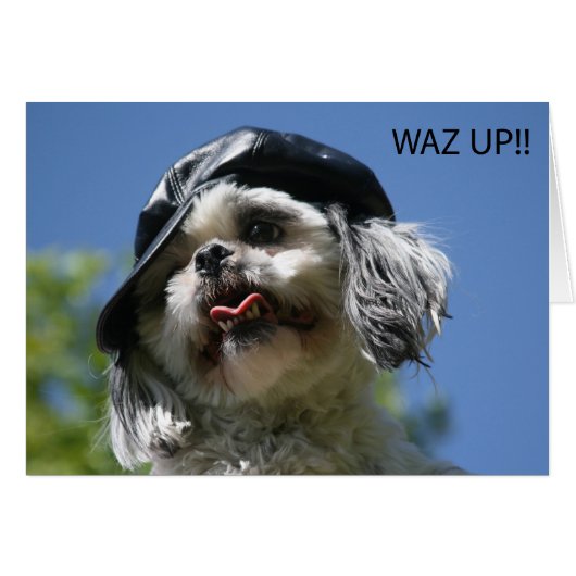 waz up cards (Front Horizontal)