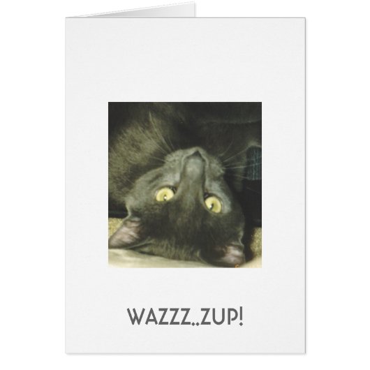 WAZZZ..ZUP! CARDS (Front)