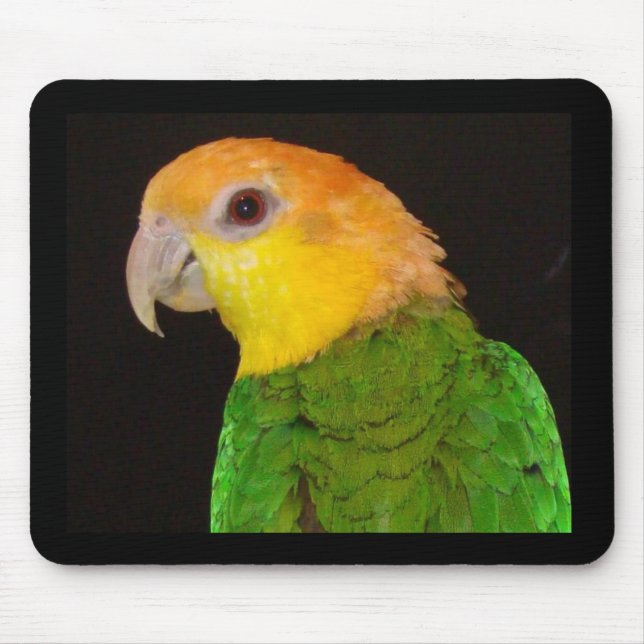 WBC Mousepad (Front)