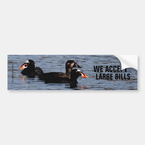 We Accept Large Bills Funny Surf Scoter Ducks Bumper Sticker