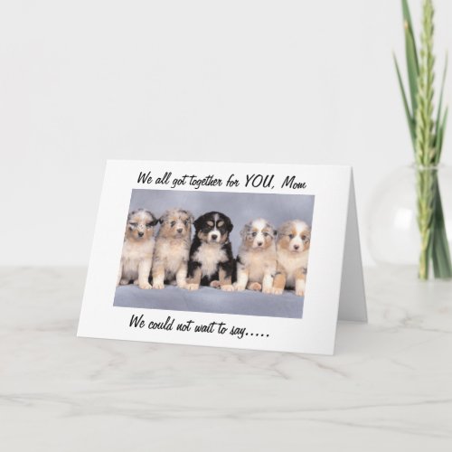 WE ALL GOT TOGETHER FOR MOTHERS DAY MOM PUPS CARD