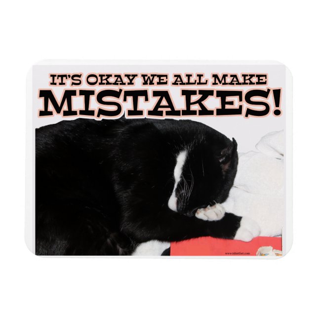 We All Make Mistakes Encouragement Cat  Magnet (Horizontal)