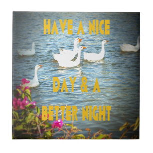 We always leave our customers happy & satisfied. ceramic tile