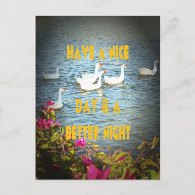 We always leave our customers happy & satisfied. postcard (Front)